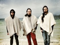 Los Poetas Acidos