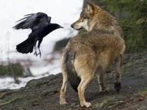 Wolfhouse Productions