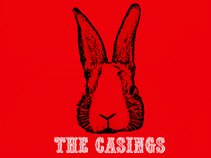 The Casings