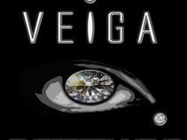 Veiga Entertainment Artists