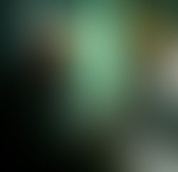 4b7d88d5 5018 4784 8eb3 689ac4c4e036