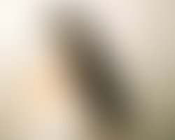 1412874606 8053719be1a1beca8e833851860a92a30b84b395