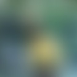 Artist 6272682 1533978648