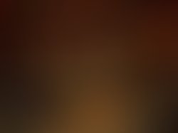 974fa480 a5cc 4e91 9355 bbe2ee14d44a 2007 0000017c8a910db5