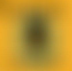 694ba4a4 3937 4486 8d4d f334f083c8dc