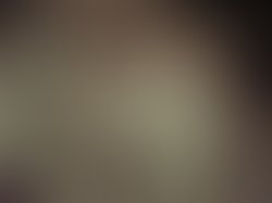 Received 263888867554012