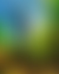 Artist 6279690 1534697078