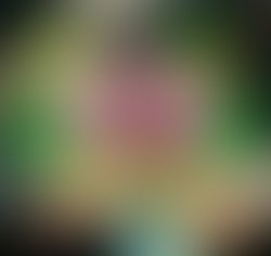 Picsart 01 17 07 47 14