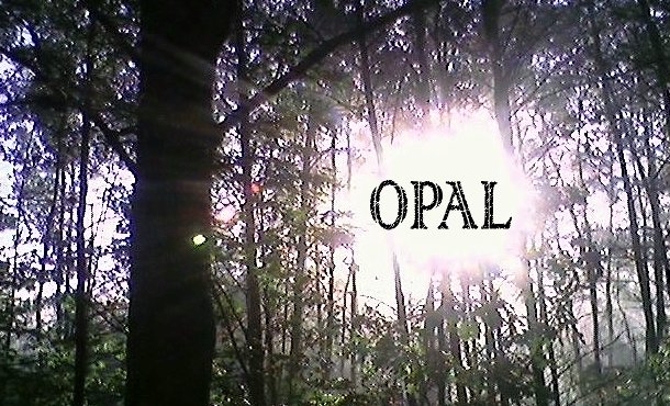 ReverbNation profile picture for @opal