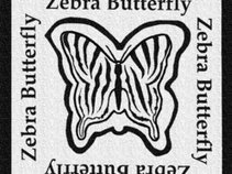 Zebra Butterfly