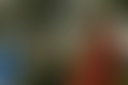 Artist 628436 1396806613