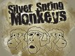 Silver Spring Monkeys