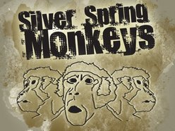 Image for Silver Spring Monkeys