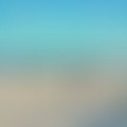 1 20220102 030247 0000