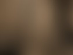 Dsc00427 2 1290591077
