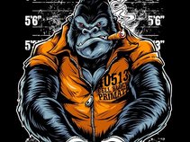 Gorilla Beezy