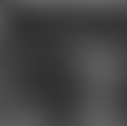 Justin lee official profile photo