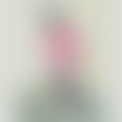 40221130 106889710264296 8668222190719598592 n