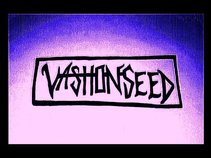 The Vashon Seed
