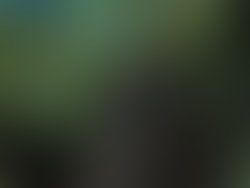 41810142 2250416318319785 2176765493778579456 n