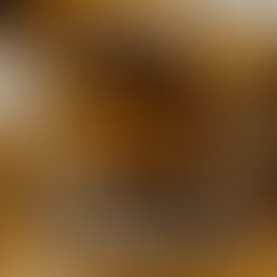 Img 20231228 wa0024