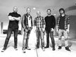 SONICFLOOd