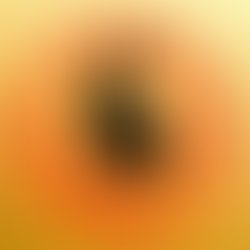 Blakc rabbit web correct 1600px