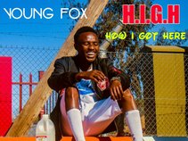 Young Fox