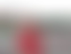 43283082 470316663480896 3640447518841503744 n