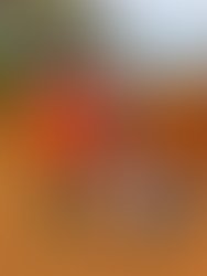 Picsart 02 25 12 05 54