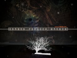 Image for Lillywhite