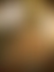 Artist 6324250 1580852879