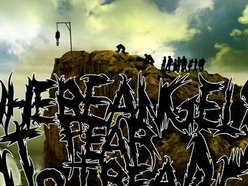 Image for Where Angels Fear To Tread