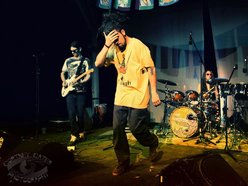 Image for The Cornerstoners