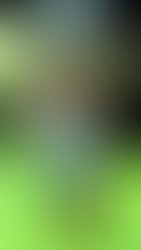 Received 110309523746394