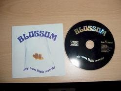 ReverbNation profile picture for @blossom