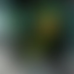 Artist 6335257 1546517677