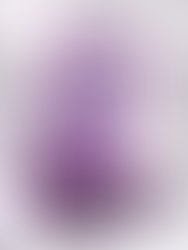 Photolab app img 20181110 174610