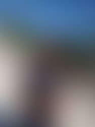 81364183 286761155650534 1031245845615345664 n