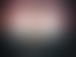878bcf8f eb07 455e a078 7df250f113e7