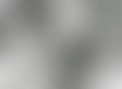 Artist 6345328 1549160797