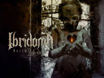 Ibridoma