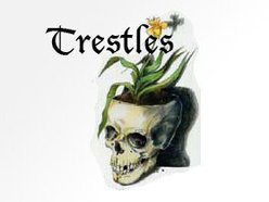 Image for Trestles