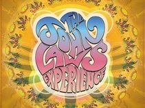 THE JOHN LAWS EXPERIENCE