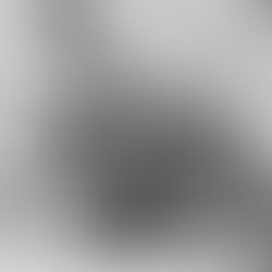 E5625355 4d51 4945 8013 3305076b081e