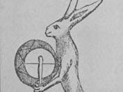 bunny