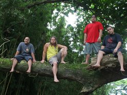 Image for The Green Band