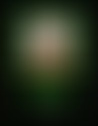 240337 206624872712067 6626740 o