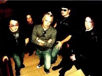 the barflies