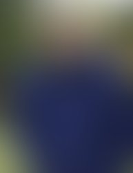 1436759810 2185088 m